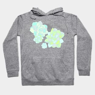 Succulent Hoodie